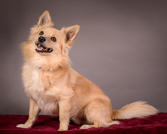 Foster Sergio-8104