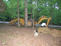 Septic Tank-1010032