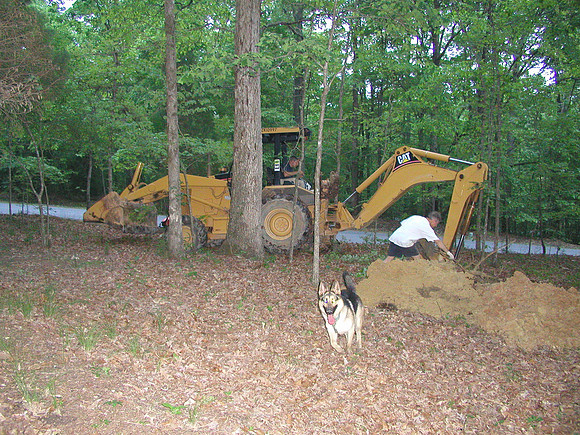 Septic Tank-1010032