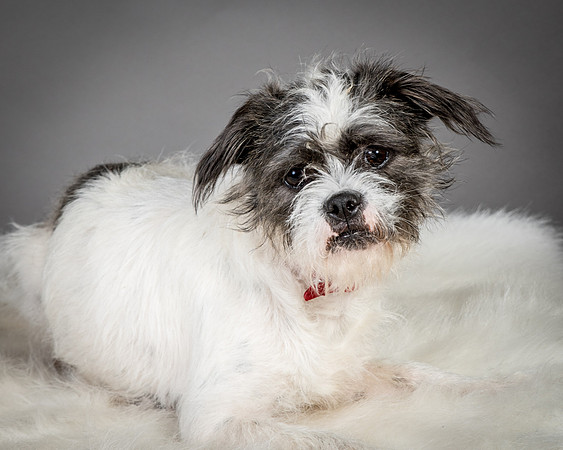 Foster Leeza-2571