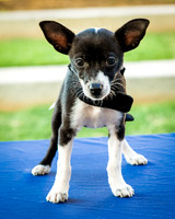 Foster Laila-9786