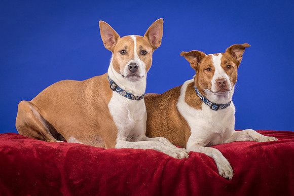 Urschel-Ethel and Ruby-9716