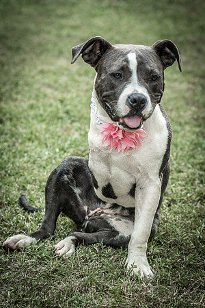 Foster Maya-0334