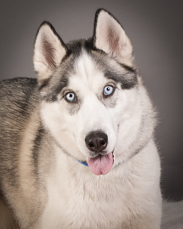 Foster Aspen-7595