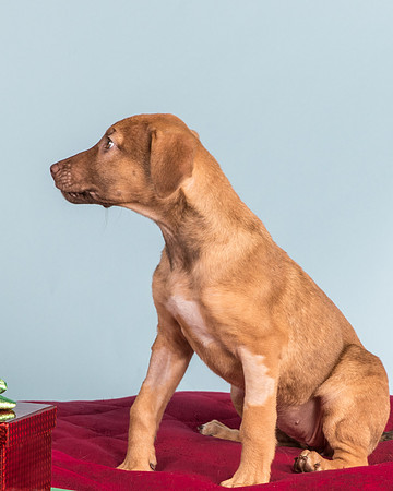Foster Bronwyn-8381