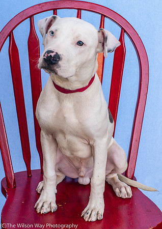Foster Curt-9222