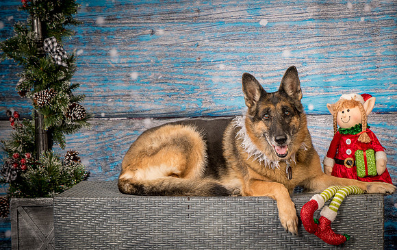 Wilson-3495