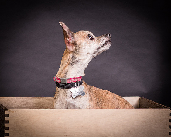 Foster Selina-1109
