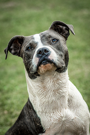 Foster Maya-0386