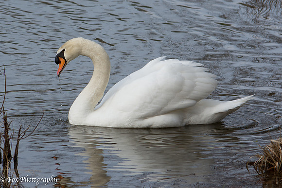 20131220-SJF_4080-2