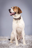 Foster Daniel-6327