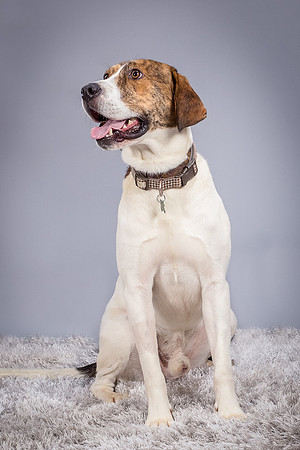 Foster Daniel-6327