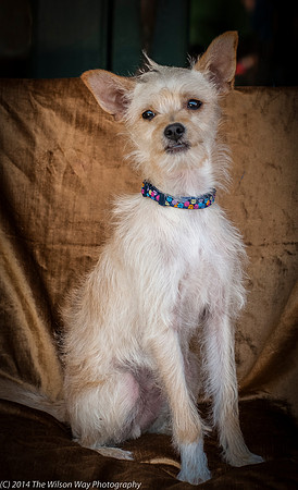 Foster Hugo-9390
