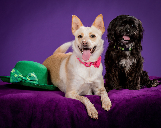 Henry and Maggie-1243