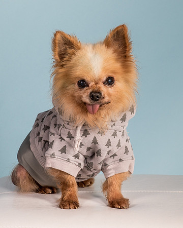 Foster Horace-0933
