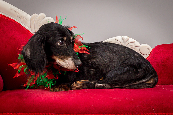 Foster Bernice-3764