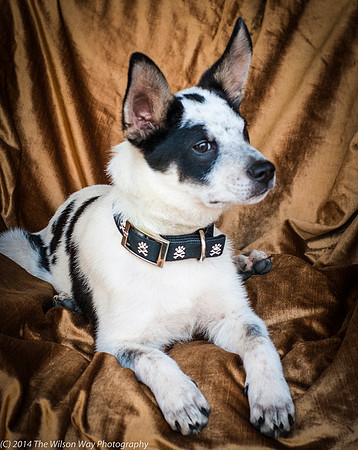 Foster Oliver-8961