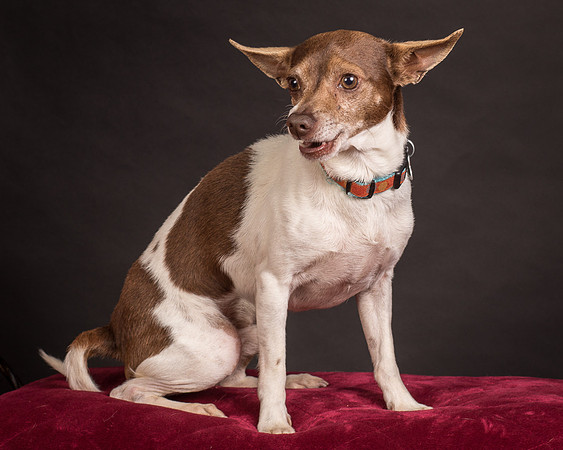 Foster Gus-0349