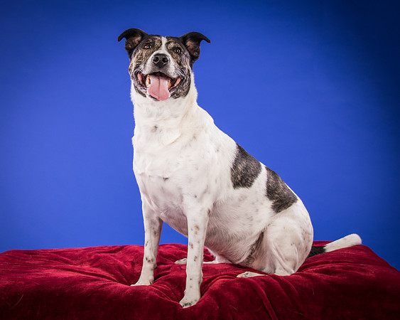 Bruns-Melo and Gracie-3033