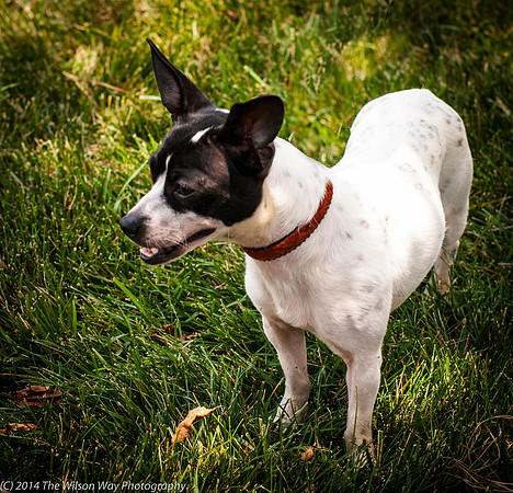 Foster Melia-9836