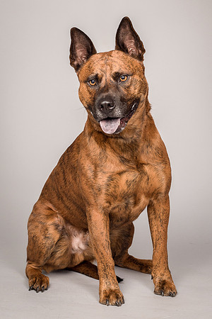 Foster Beans-2276