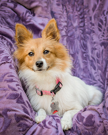 Foster Brandi-3173