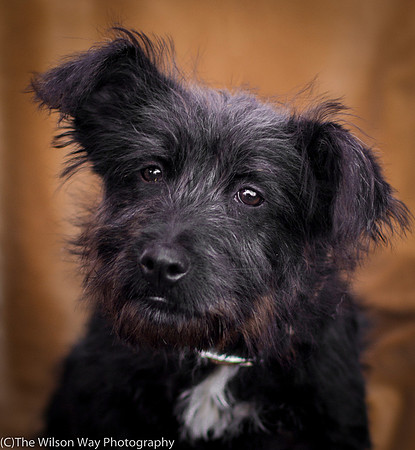 Foster Sidney-9563