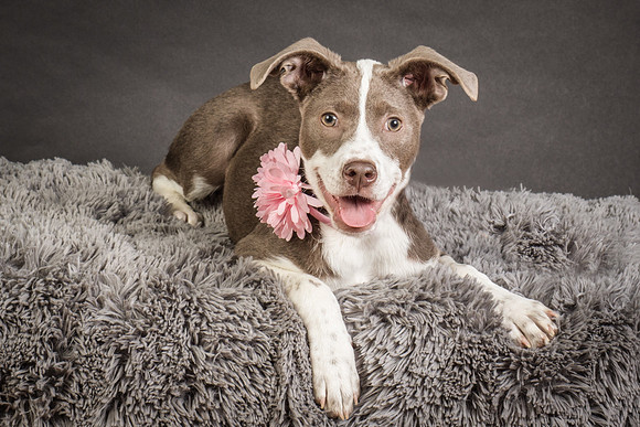 Foster Ari-8571