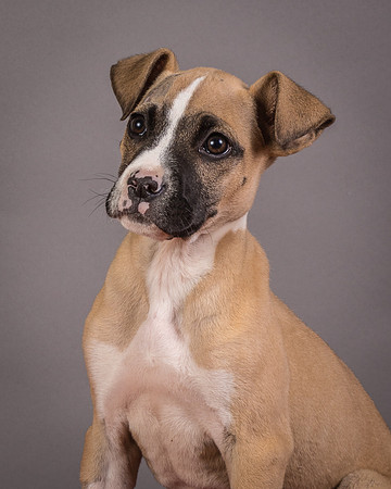 Foster Barnabas-4548