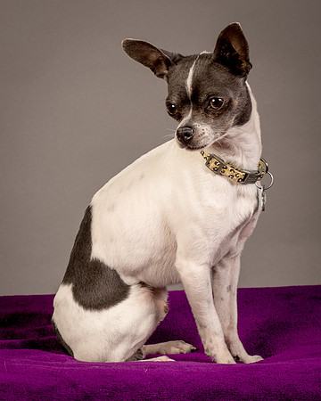 Foster Wesley-4938