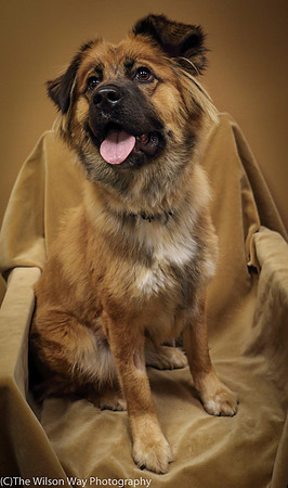 Foster Blair-0641