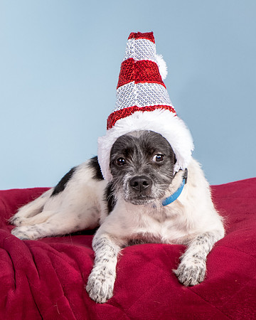 Foster Billie-8229