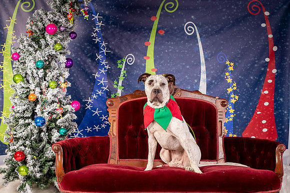 Foster Sylvester-0932