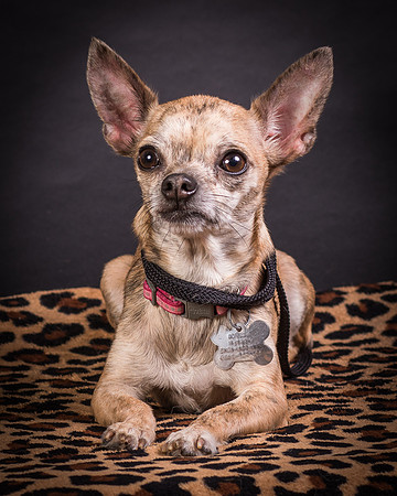 Foster Selina-1242