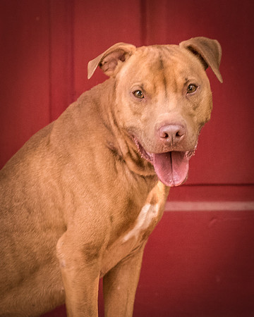 Foster Pablo-8109