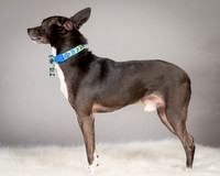 Foster Luc-5044