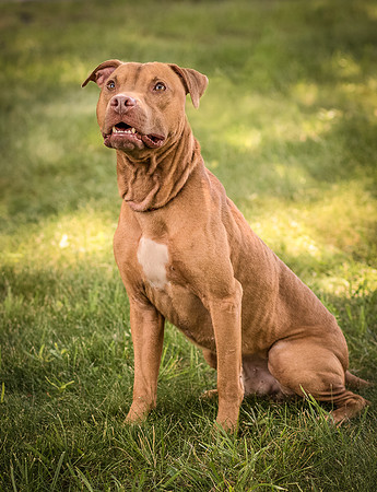 Foster Pablo-7956