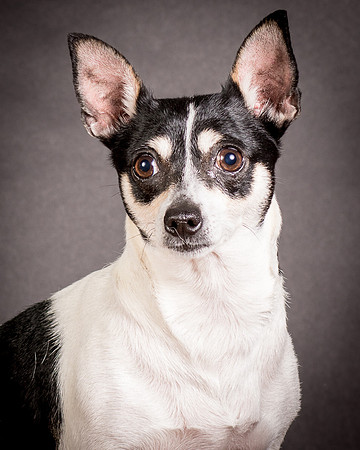 Foster Richa-0467