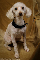 Foster Loretta-0191