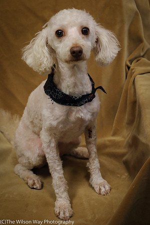 Foster Loretta-0191