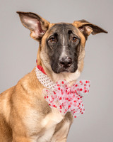 Foster Gabby-3970