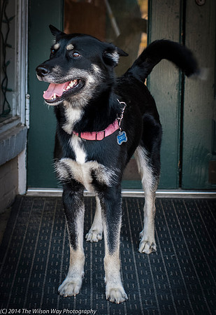 Foster Mala-9452