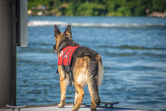 Memorial Day Weekend-4982
