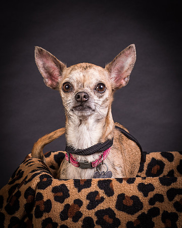 Foster Selina-1153