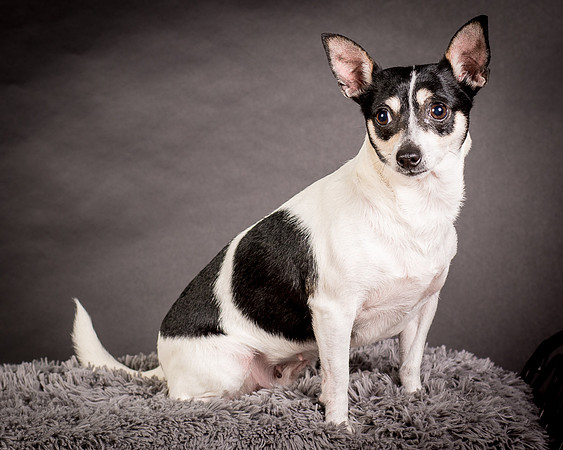 Foster Richa-0453