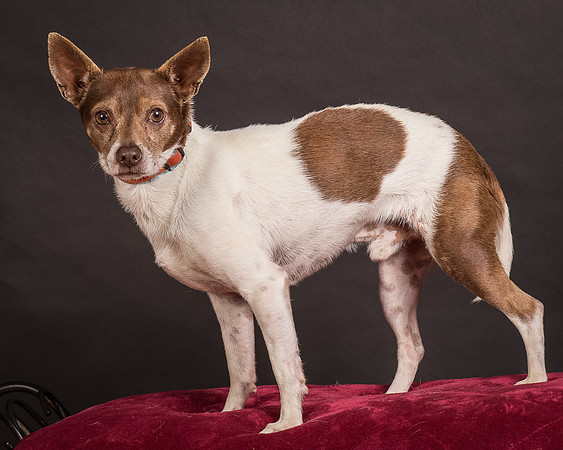 Foster Gus-0398