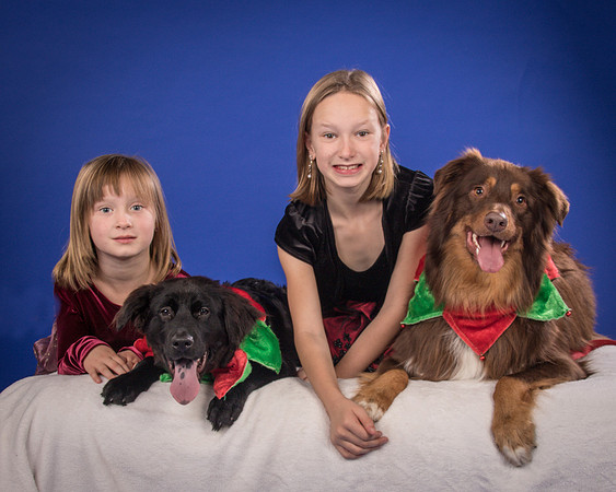 Melton-Hobble and Daisy-4673