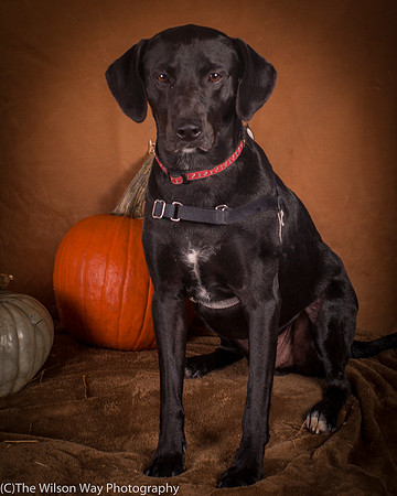 Foster Charles-5219