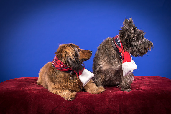 Sauls-Brodie and Baxter-5524
