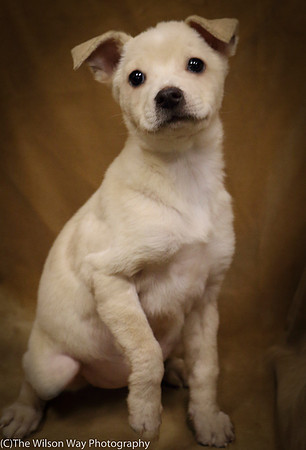 Foster Signey-0275